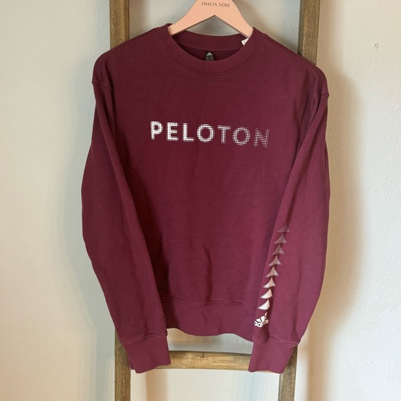 Peloton Adidas Men pullover sweatshirt
Size xs
In great condition - Picture 2 of 7